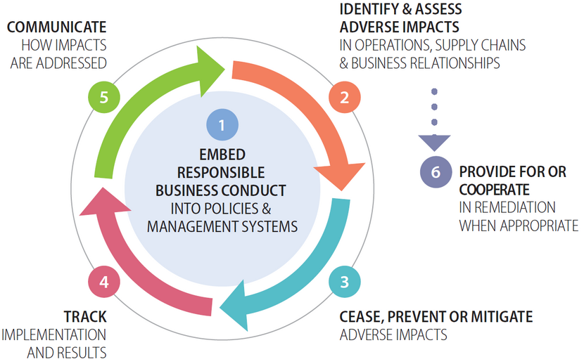 A graphic of supply chain due diligence process