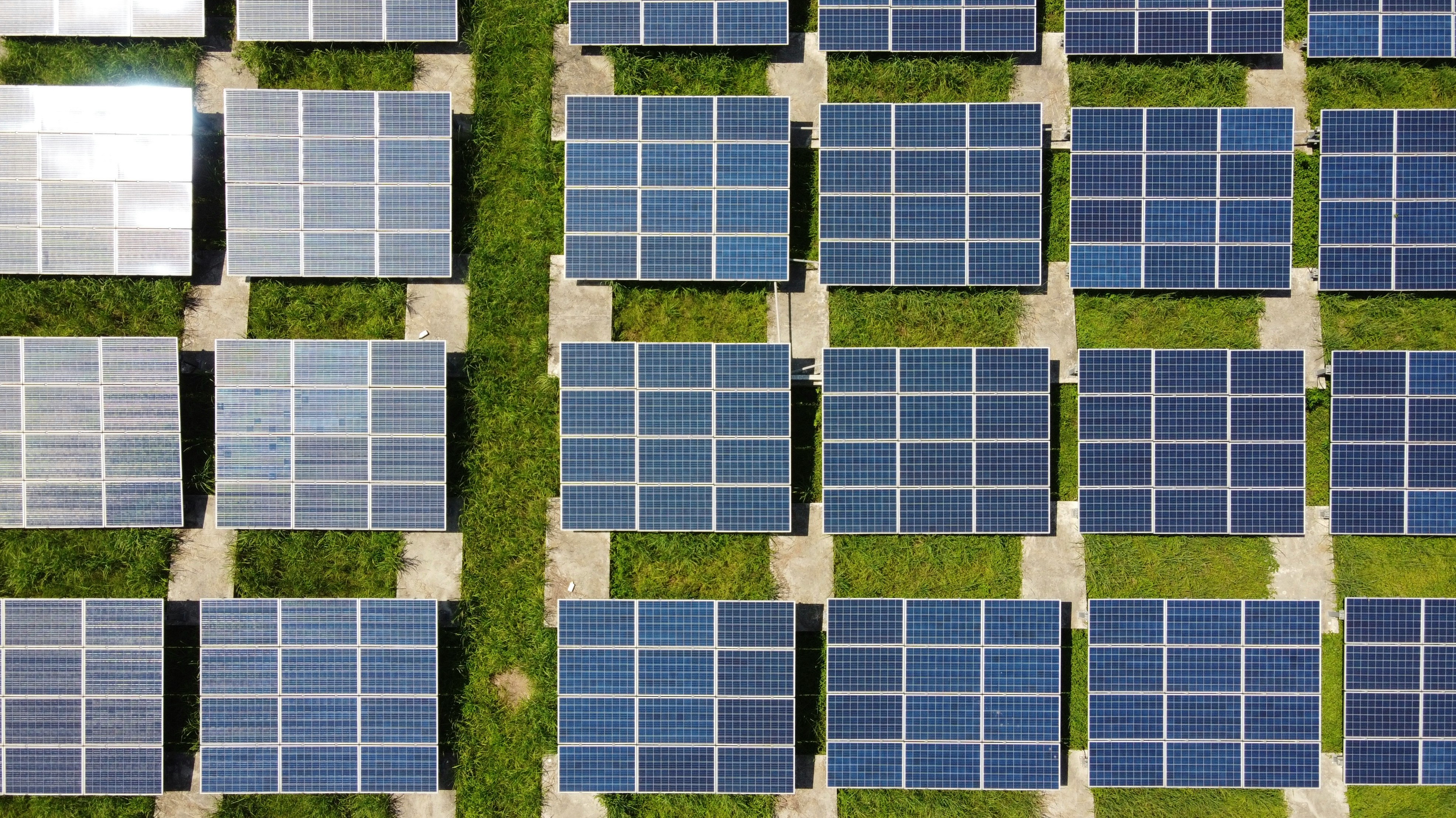 Dozens of solar panels on a green surface captured from above